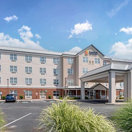 Comfort Inn & Suites Dover Exterior foto
